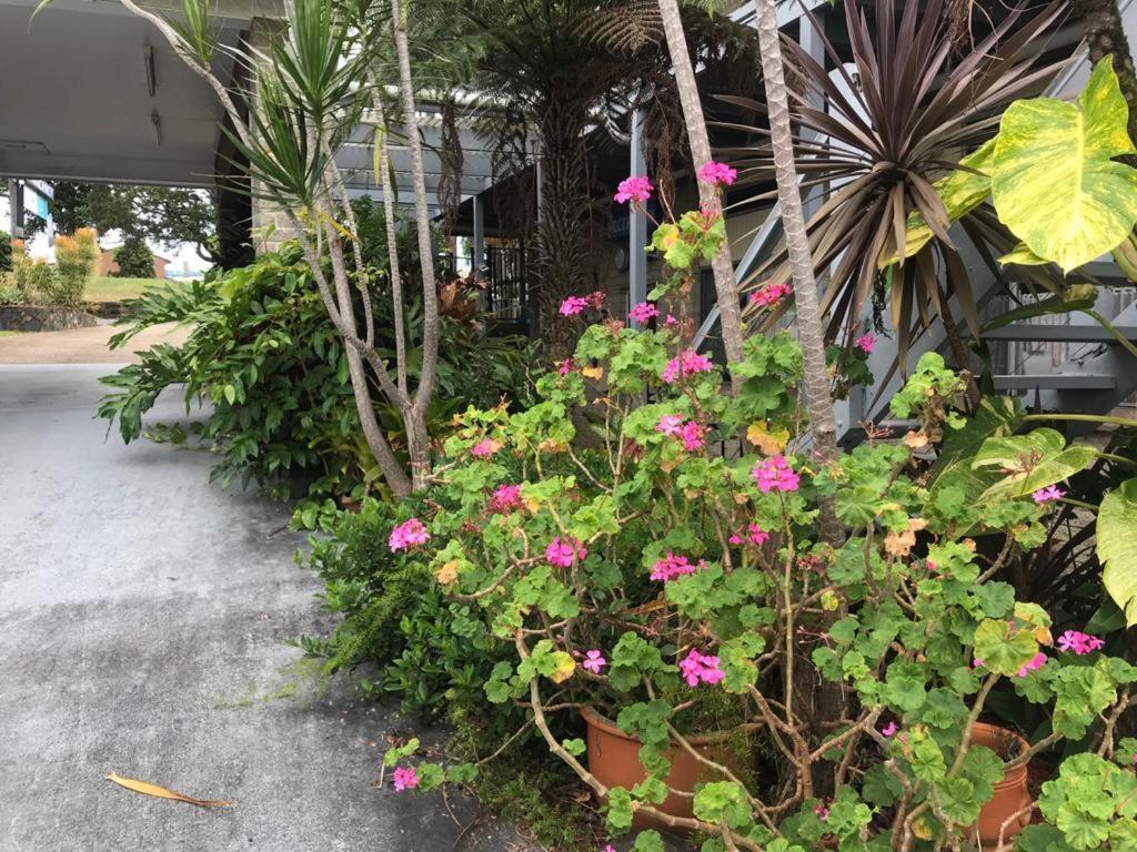 Coffs Shearwater Motel 콥스 하버 외부 사진
